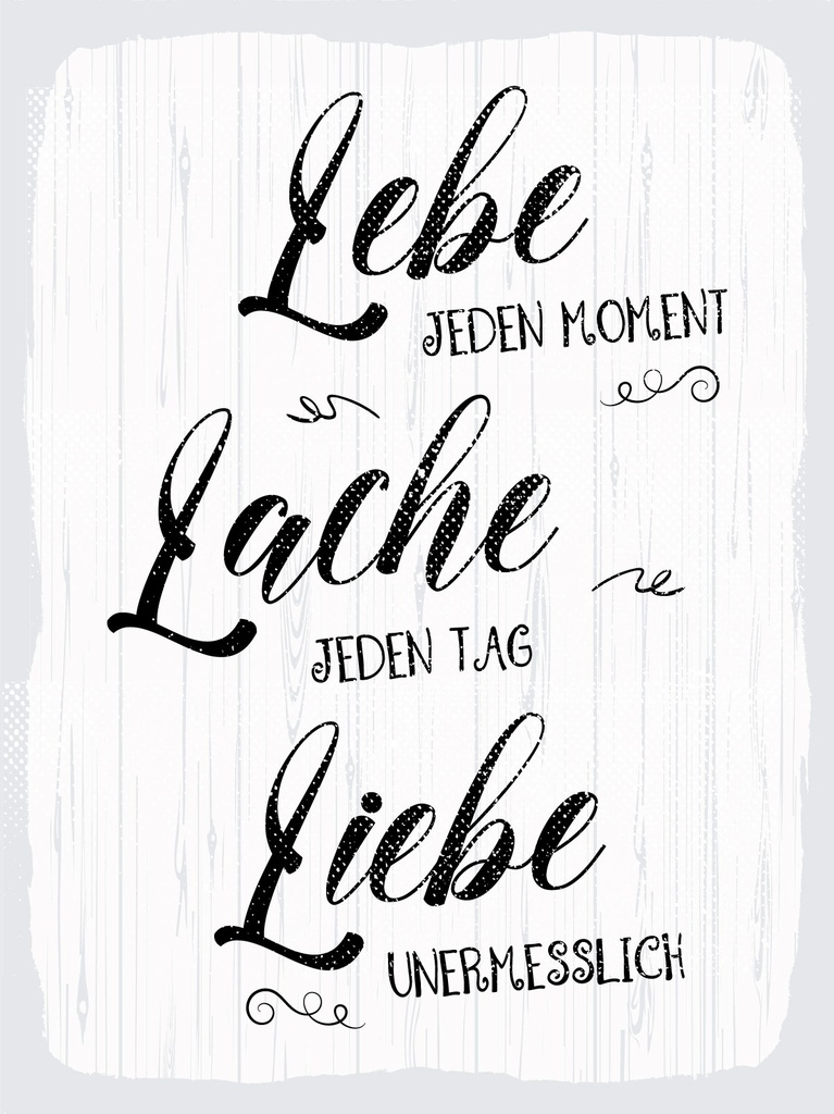 [LA-1813006] Blechschild 40x30 cm Lebe jeden Moment Lache Liebe