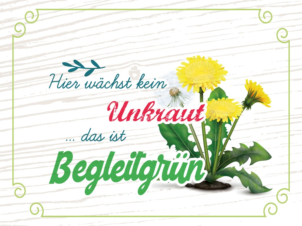 [LA-1813130] Blechschild 30x40 cm kein Unkraut das ist Begleitgrün
