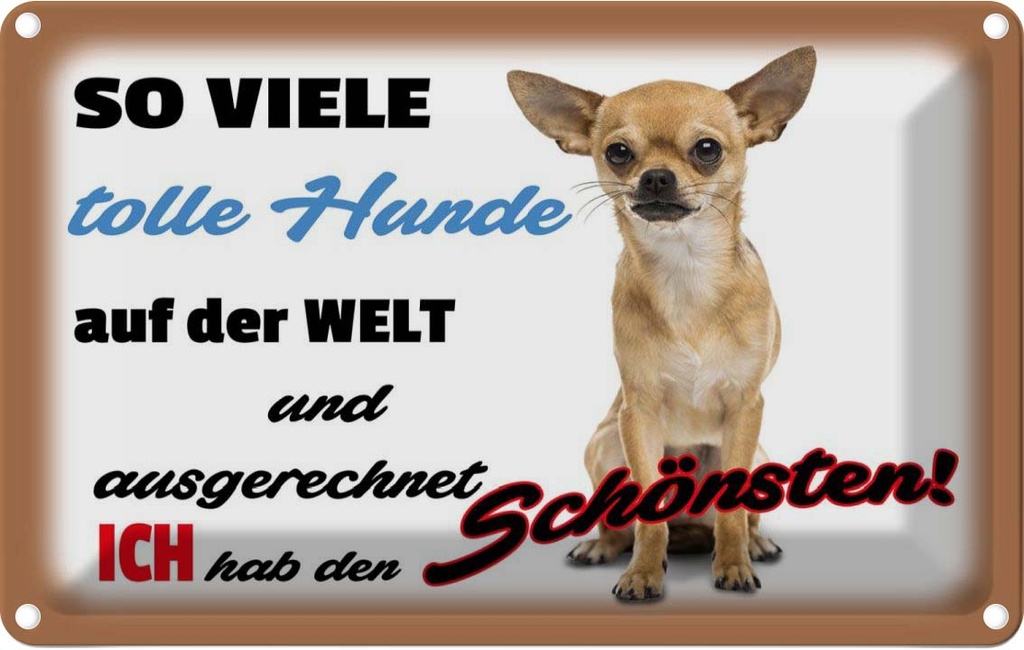 [LA-112500-1812] Blechschild 12x18 cm ich hab den schönsten Hund Tier Haustier