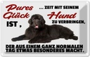 Blechschild 12x18 cm pures Glück ist Zeit mit Hund Tier Haustier
