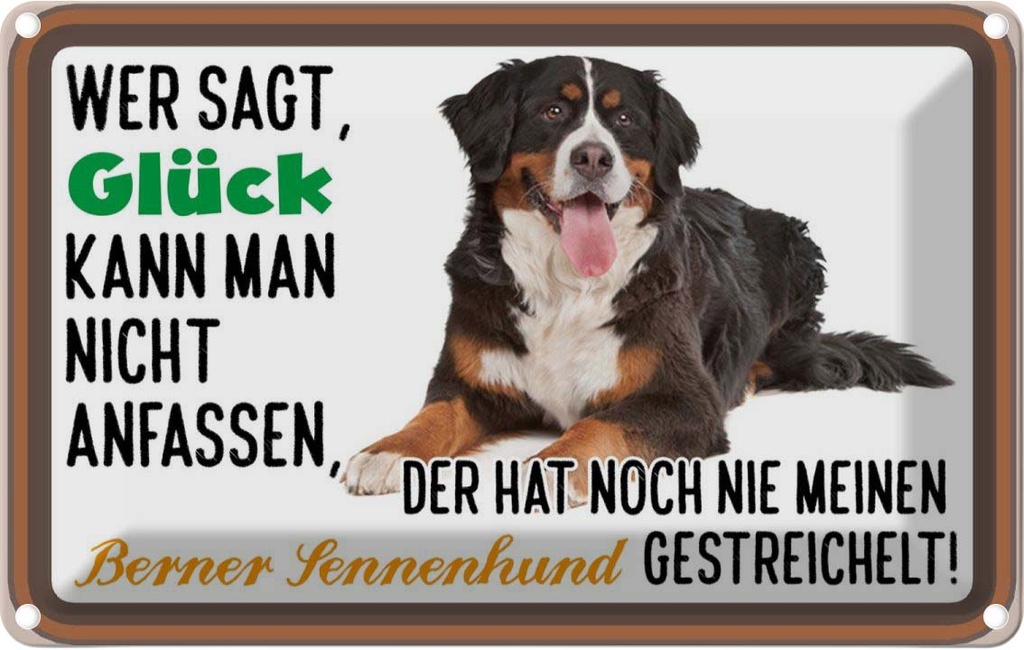 [LA-112516-1812] Blechschild 12x18 cm wer sagt Glück Berner Sennenhund Spruch Zitat