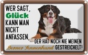 Blechschild 12x18 cm wer sagt Glück Berner Sennenhund Spruch Zitat