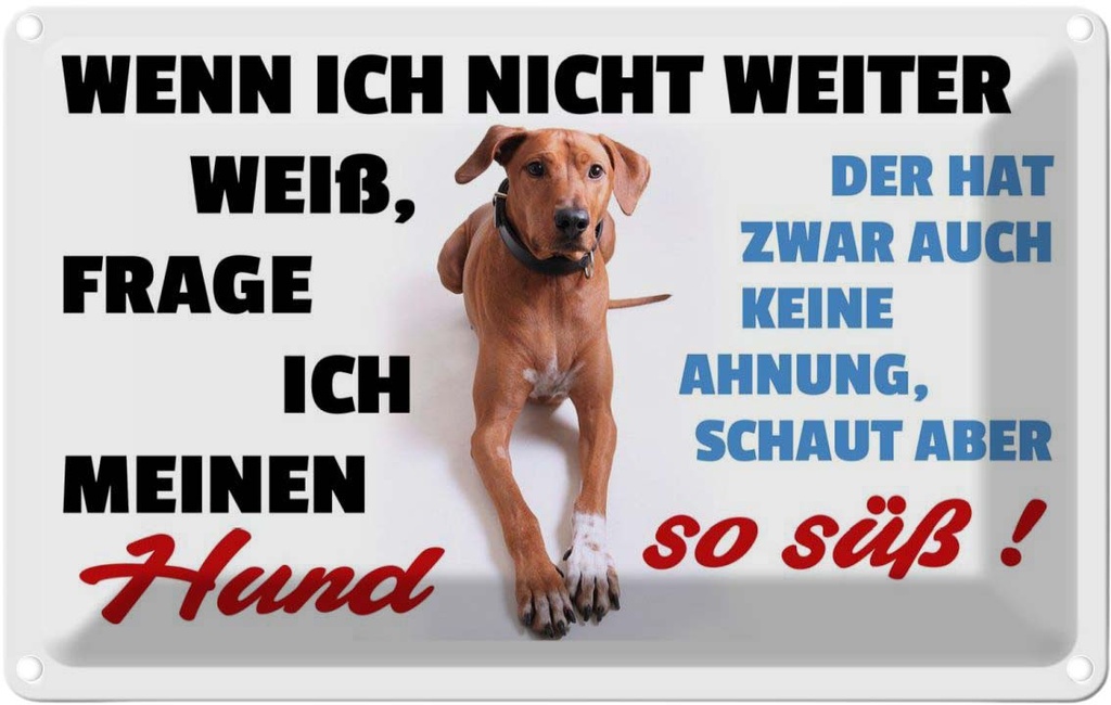 [LA-112519-1812] Blechschild 12x18 cm wenn ich nicht weiter weiß Hund Spruch Zitat