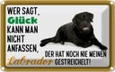Blechschild 12x18 cm Glück nicht anfassen Labrador Dekoration Hund