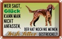 Blechschild 12x18 cm Glück Irish Setter Hund Tier Haustier