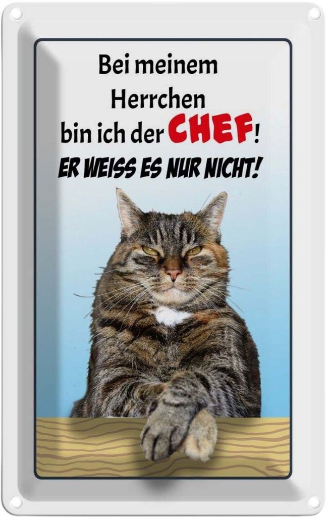 [LA-112569-1812] Blechschild 18x12 cm Katze bei meinem Herrchen Chef Tier Haustier