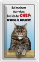 Blechschild 18x12 cm Katze bei meinem Herrchen Chef Tier Haustier
