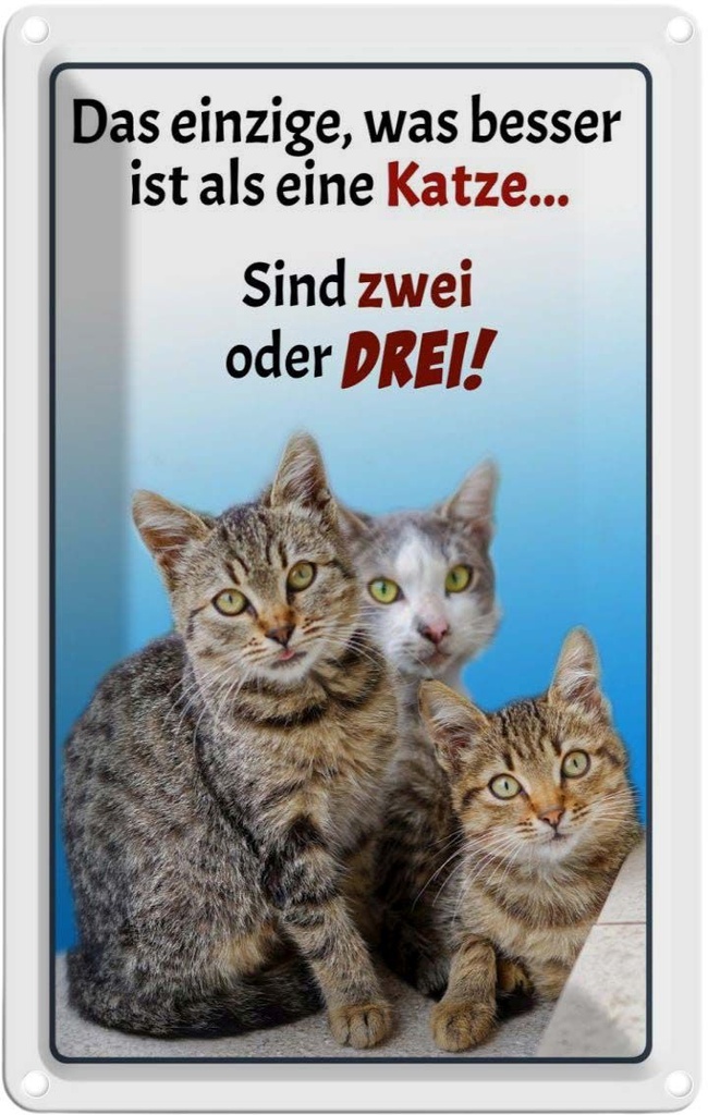 [LA-112571-1812] Blechschild 18x12 cm einzige was besser ist als Katze Tier Haustier