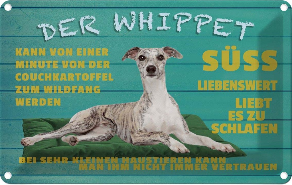 [LA-112593-1812] Blechschild 12x18 cm der Whippet Hund süss lebenswert Tier Haustier