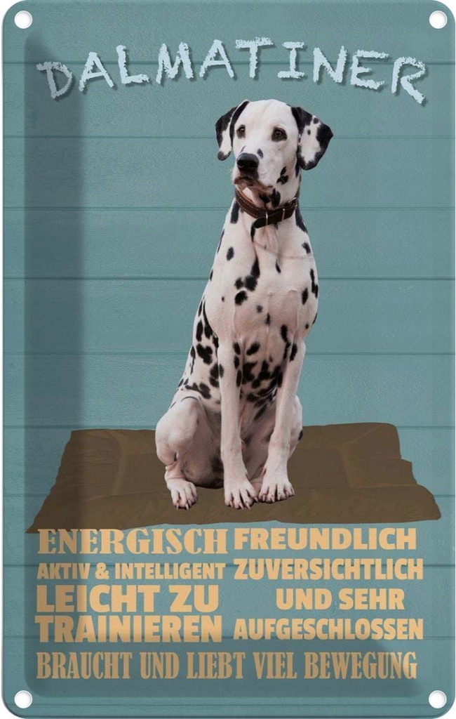 [LA-112609-1812] Blechschild 18x12 cm Dalmatiner Hund energisch aktiv Tier Haustier