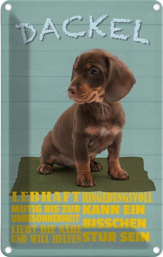 [LA-112610-1812] Blechschild 18x12 cm Dackel Hund lebhaft mutig stur Tier Haustier