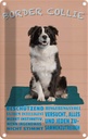 Blechschild 18x12 cm Border Collie Hund intelligent