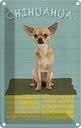 Blechschild 18x12 cm Chihuahua Hund lebenslustig Tier Haustier