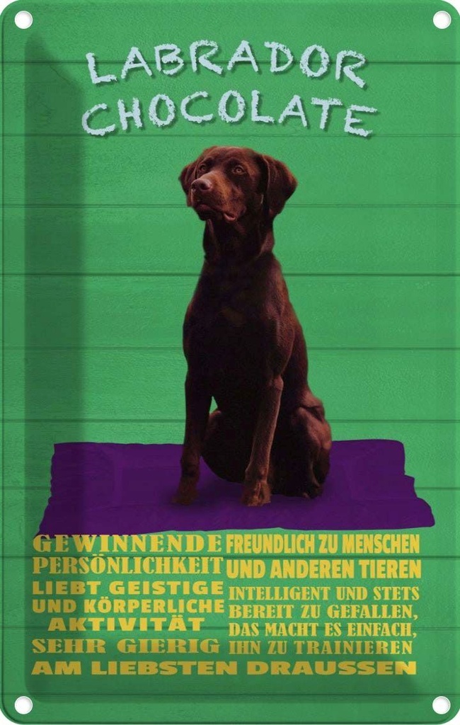 [LA-112616-1812] Blechschild 18x12 cm Labrador Chocolate Hund Tier Haustier