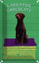 Blechschild 18x12 cm Labrador Chocolate Hund Tier Haustier