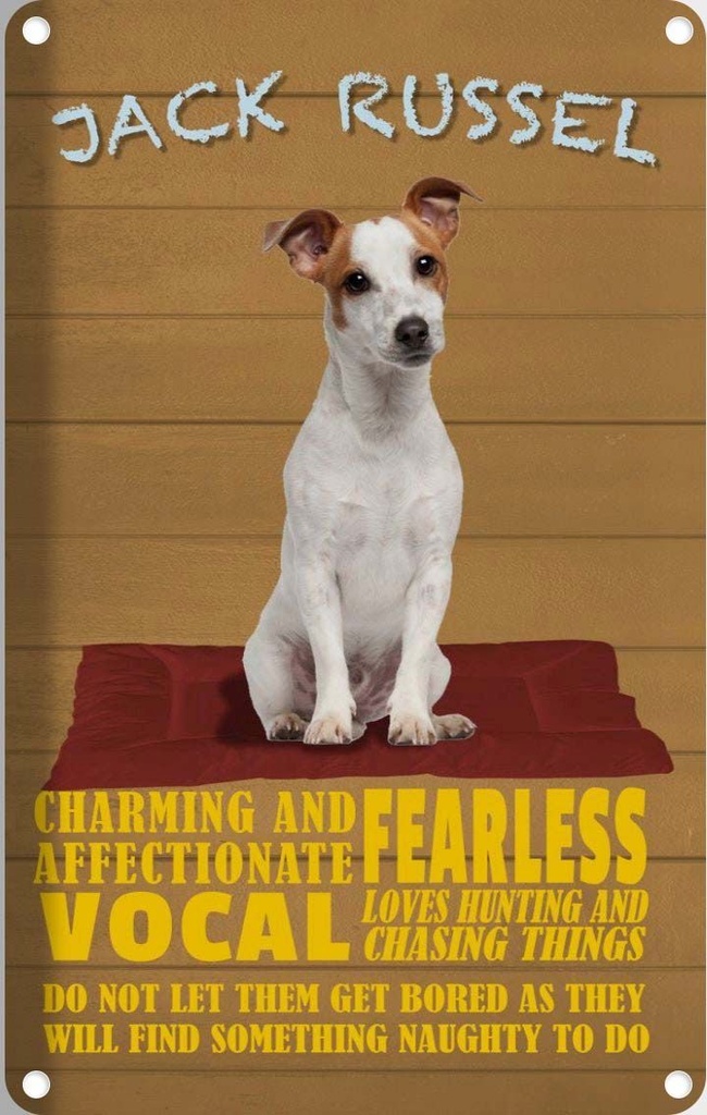 [LA-112631-1812] Blechschild 18x12 cm Jack Russel Hund charming Dekoration