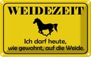 Blechschild 20x30 cm Weidenzeit Pferd Tier Haustier