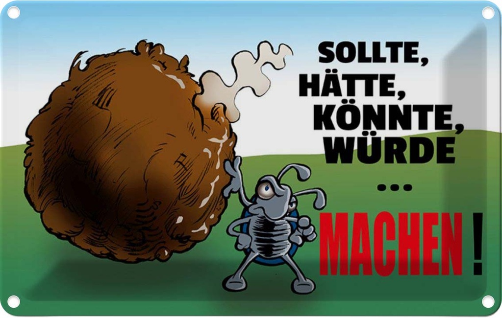 [LA-111932-2030] Blechschild 20x30 cm Sollte hätte könnte Machen Dekoration Spruch Zitat