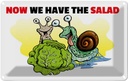 Blechschild 20x30 cm Now we have the salad Schnecken Spruch Zitat