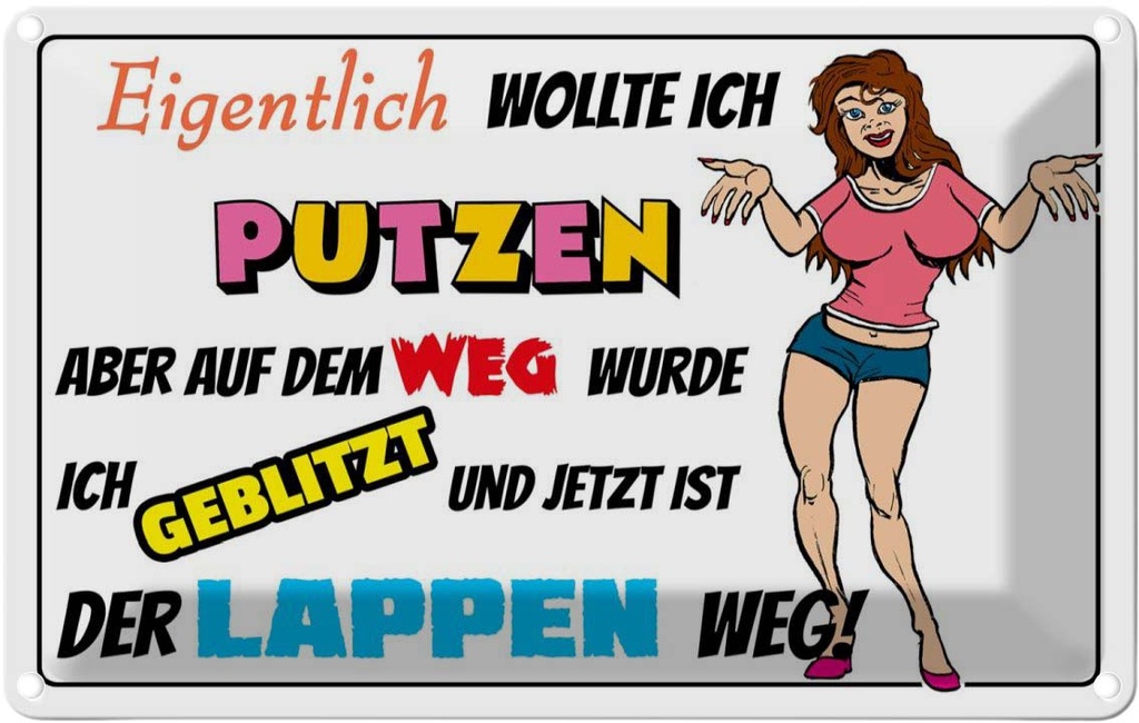 [LA-112084-2030] Blechschild 20x30 cm eigentlich wollte ich putzen Dekoration Spruch Zitat