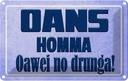 Blechschild 20x30 cm Oans homma oawei no drunga Dekoration