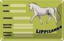 Blechschild 20x30 cm Pferd Lippizaner Angaben Name Besitzer Tier Haustier