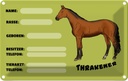 Blechschild 20x30 cm Pferd Thrakener Name Besitzer Rasse Tier Haustier