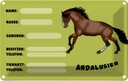 Blechschild 20x30 cm Pferd Andalusier Name Besitzer Rasse Tier Haustier