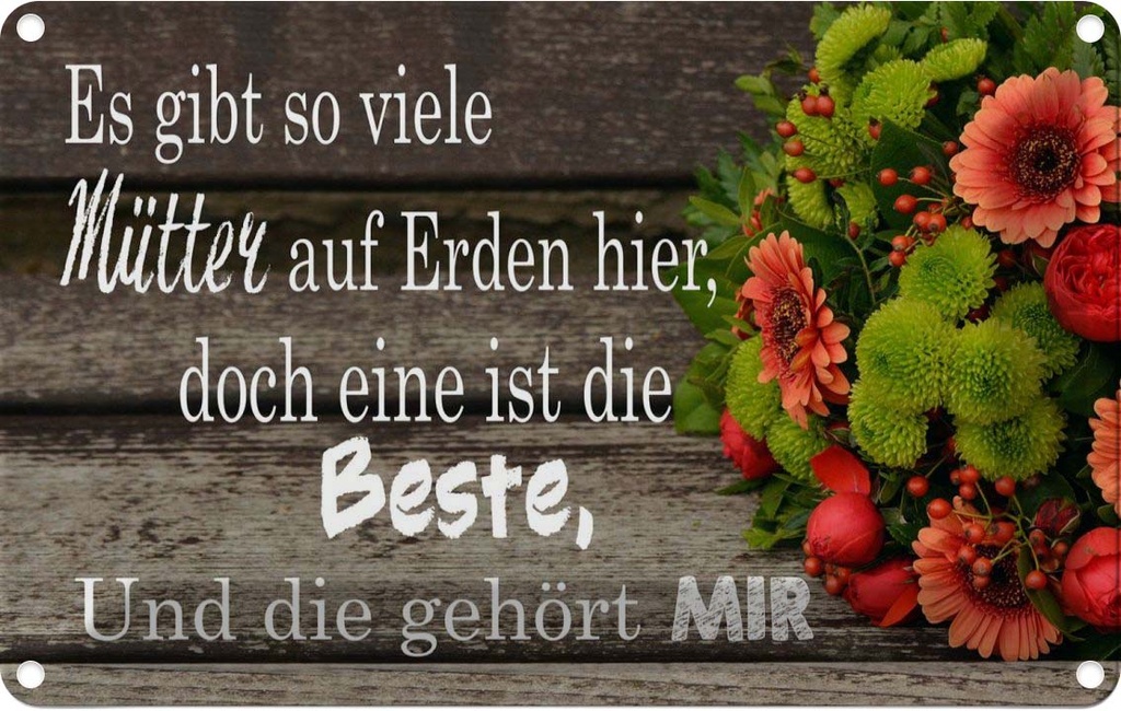 [LA-112319-2030] Blechschild 20x30 cm es gibt viele Mütter doch eine Dekoration Spruch Zitat