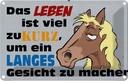 Blechschild 20x30 cm das Leben ist zu kurz um Pferd Tier Haustier