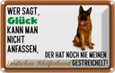 Blechschild 20x30 cm Glück Deutscher Schäferhund Hund Spruch Zitat