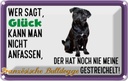 Blechschild 20x30 cm Glück Französische Bulldogge Tier Haustier Hund