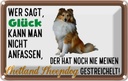 Blechschild 20x30 cm Glück Shetland Sheepdog Hund Tier Haustier