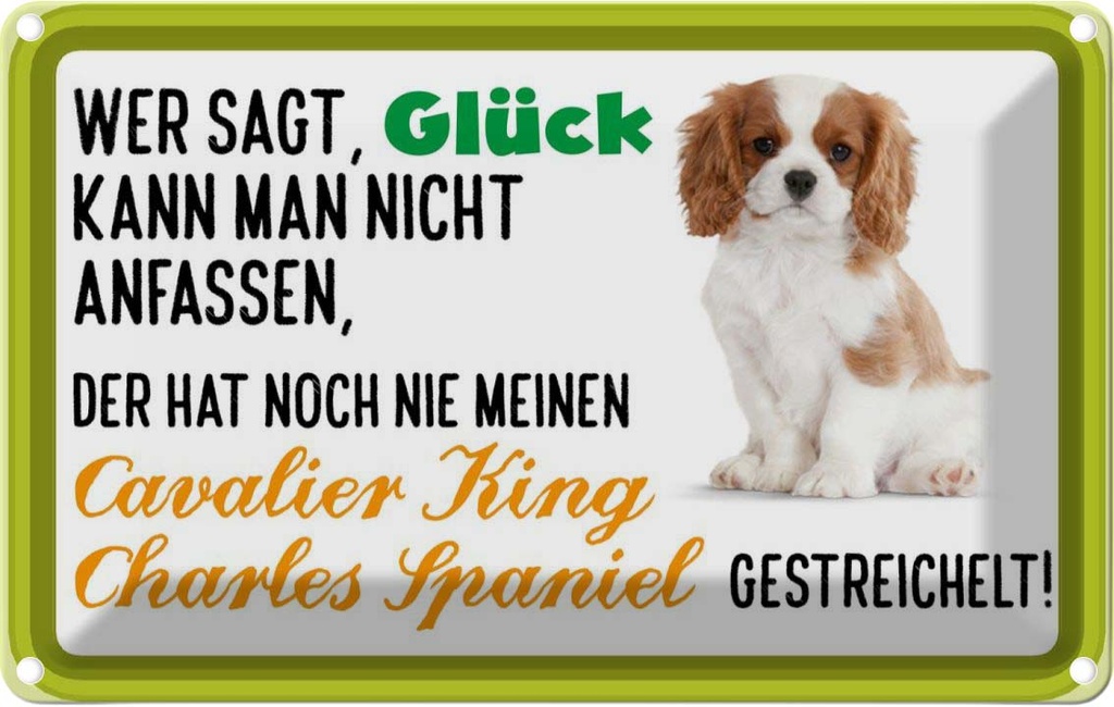 [LA-112545-2030] Blechschild 20x30 cm Cavalier King Charles Spaniel Tier Haustier Hund