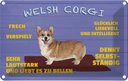 Blechschild 20x30 cm Welsh Corgi Hund frech verspielt Tier Haustier