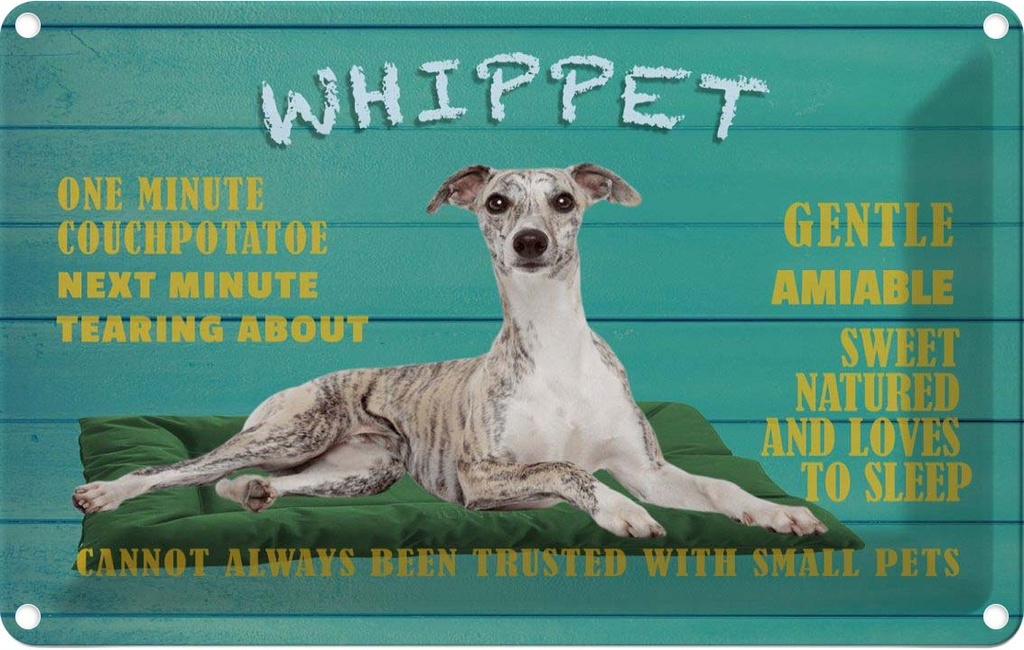 [LA-112622-2030] Blechschild 20x30 cm Whippet Hund gentle amiable Tier Haustier