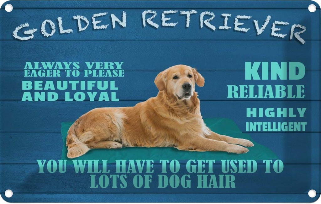 [LA-112632-2030] Blechschild 20x30 cm Golden Retriever Hund very eager Tier Haustier