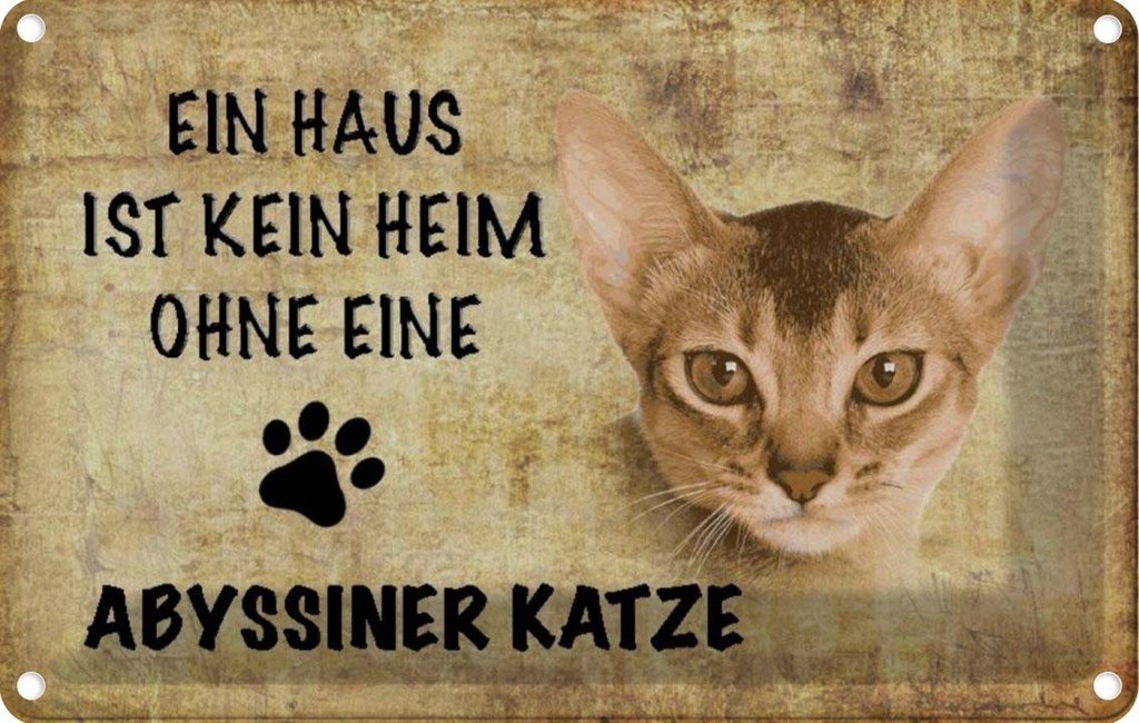 [LA-112681-2030] Blechschild 20x30 cm Abyssiner Katze ohne kein Heim