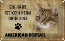 Blechschild 20x30 cm American Bobtail ohne kein Heim Katze