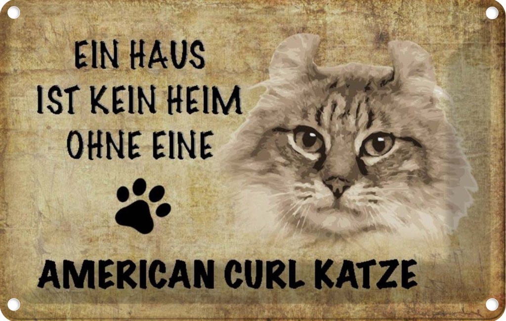 [LA-112683-2030] Blechschild 20x30 cm American Curl Katze Tier Haustier