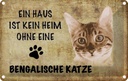 Blechschild 20x30 cm Bengalische Katze Tier Haustier