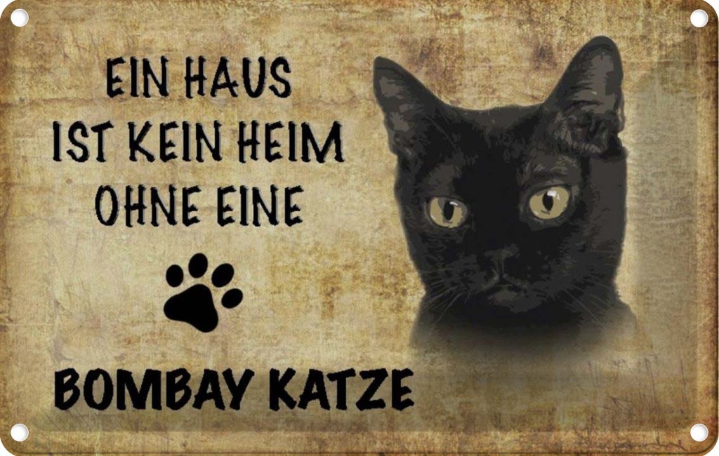 [LA-112688-2030] Blechschild 20x30 cm Bombay Katze ohne kein Heim Tier Haustier