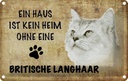 Blechschild 20x30 cm britische Langhaar Katze Tier Haustier