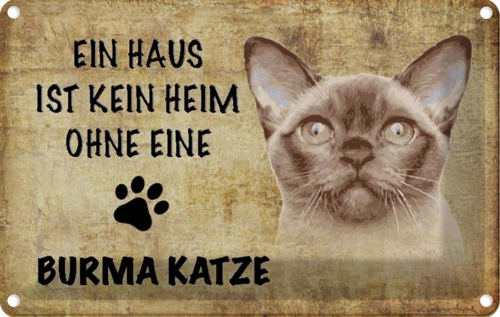 [LA-112691-2030] Blechschild 20x30 cm Burma Katze ohne kein Heim Tier Haustier