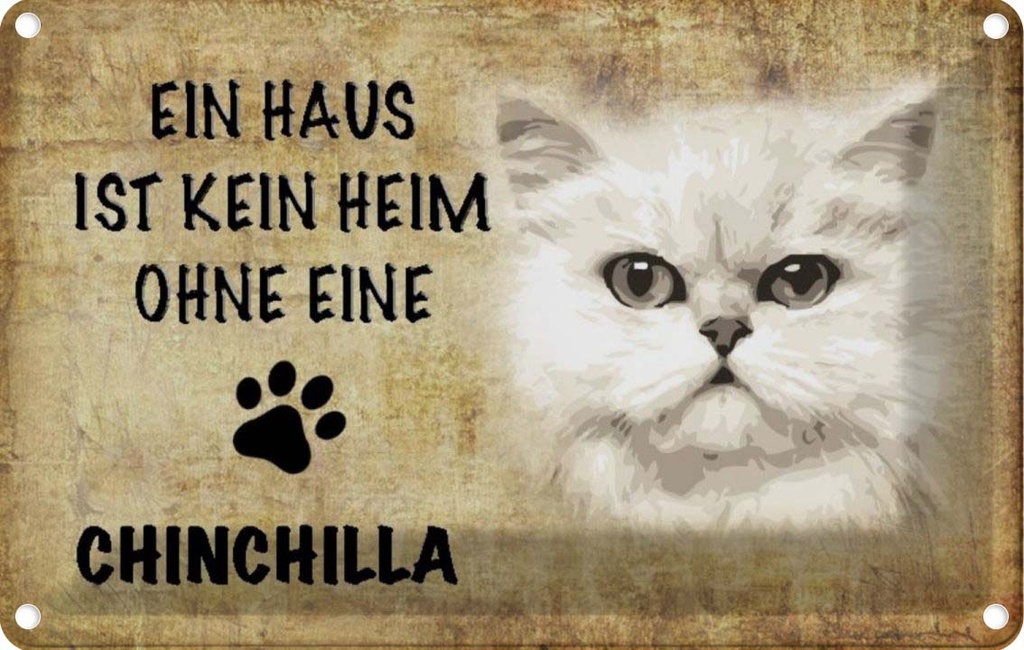 [LA-112693-2030] Blechschild 20x30 cm chinchilla Katze ohne kein Heim Tier Haustier