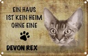 Blechschild 20x30 cm Devon Rex Katze ohne kein Heim Tier Haustier