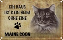 Blechschild 20x30 cm Maine Coon Katze ohne kein Heim Tier Haustier
