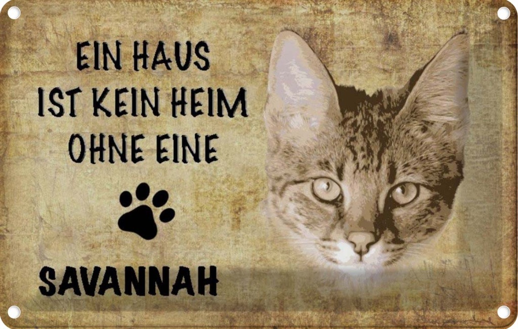 [LA-112709-2030] Blechschild 20x30 cm Savannah Katze ohne kein Heim Tier Haustier