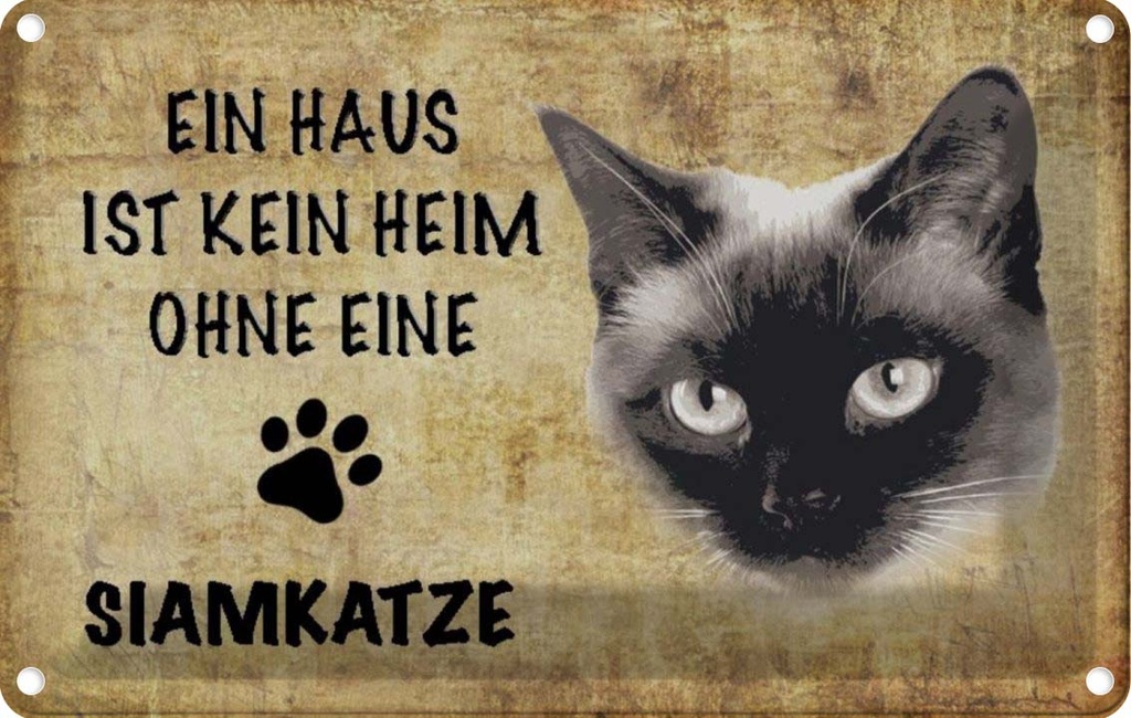 [LA-112712-2030] Blechschild 20x30 cm Siamkatze Katze ohne kein Heim Tier Haustier