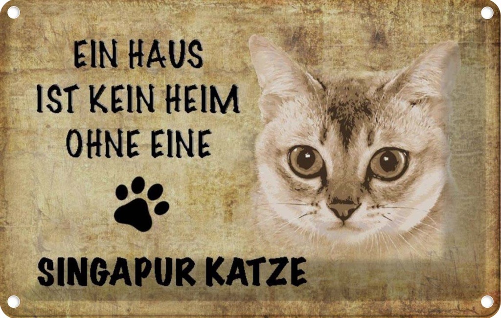 [LA-112714-2030] Blechschild 20x30 cm Singapur Katze ohne kein Heim Tier Haustier